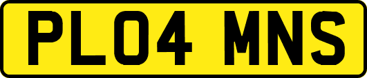 PL04MNS