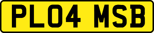 PL04MSB