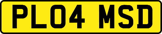 PL04MSD