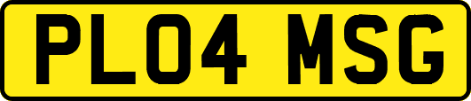 PL04MSG