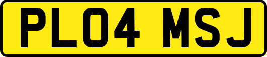PL04MSJ