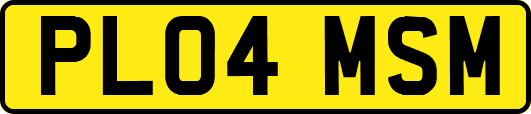 PL04MSM