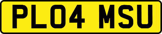 PL04MSU