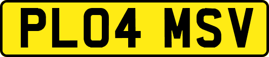 PL04MSV