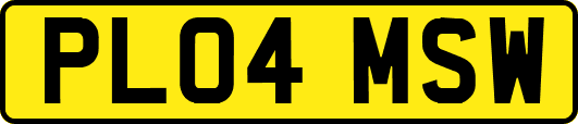 PL04MSW
