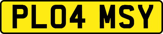 PL04MSY