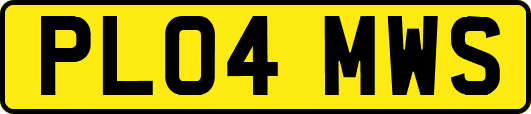 PL04MWS