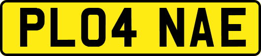 PL04NAE
