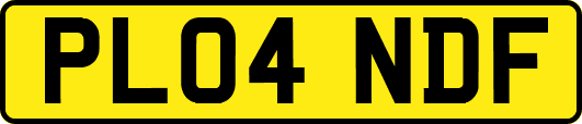 PL04NDF