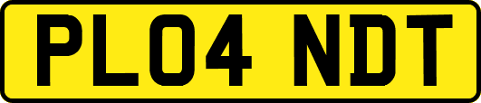 PL04NDT