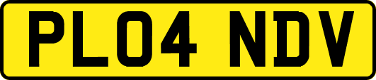 PL04NDV