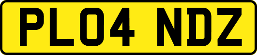 PL04NDZ