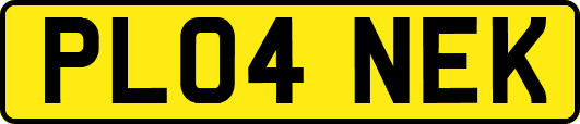 PL04NEK