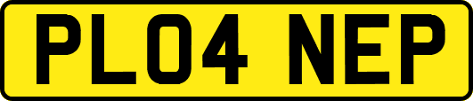 PL04NEP