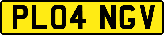 PL04NGV