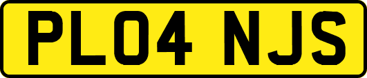 PL04NJS