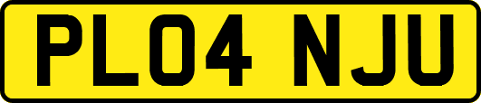 PL04NJU