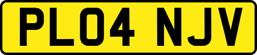 PL04NJV