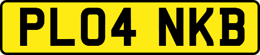 PL04NKB