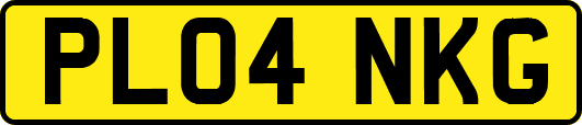 PL04NKG