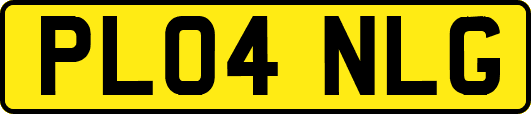 PL04NLG