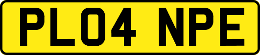 PL04NPE