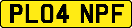 PL04NPF