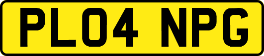 PL04NPG
