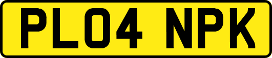 PL04NPK