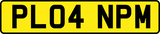 PL04NPM