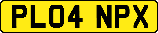 PL04NPX
