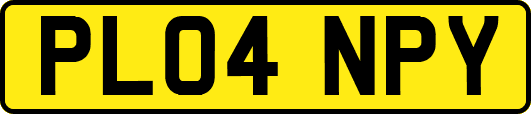 PL04NPY