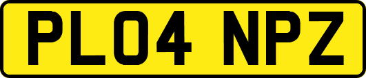 PL04NPZ