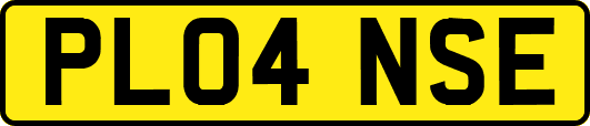 PL04NSE