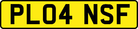 PL04NSF