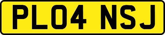 PL04NSJ