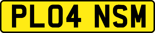 PL04NSM