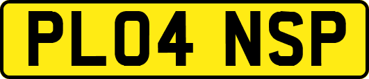PL04NSP