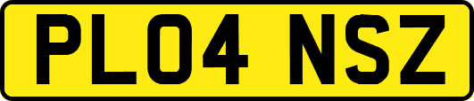 PL04NSZ