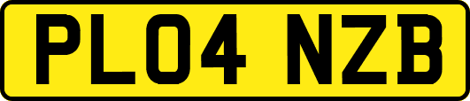 PL04NZB