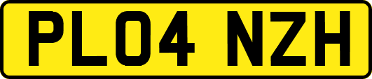 PL04NZH
