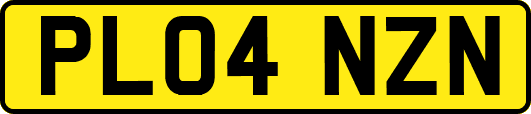 PL04NZN