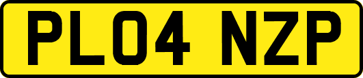 PL04NZP