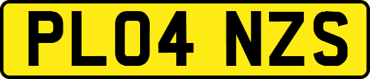 PL04NZS