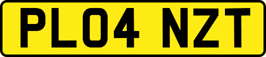 PL04NZT