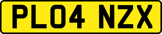 PL04NZX