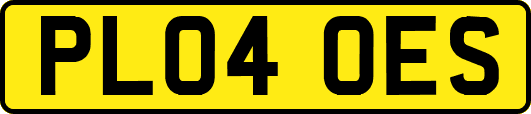 PL04OES