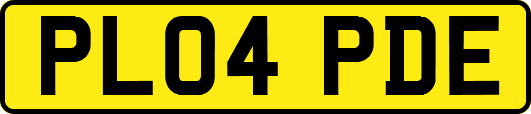 PL04PDE