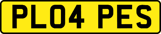 PL04PES