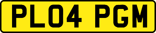 PL04PGM